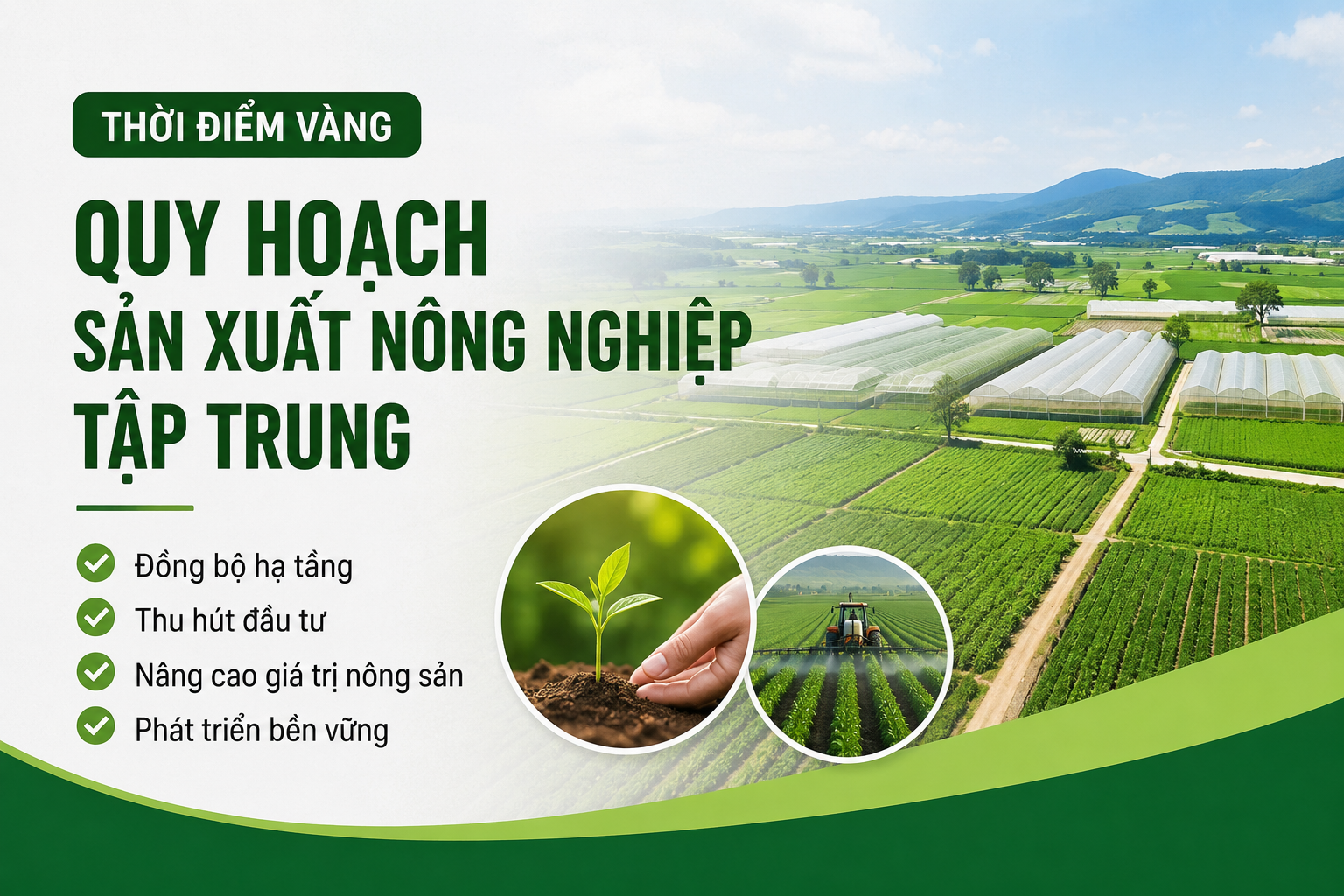 Thời Điểm Vàng Quy Hoạch Sản Xuất Nông Nghiệp Tập Trung
