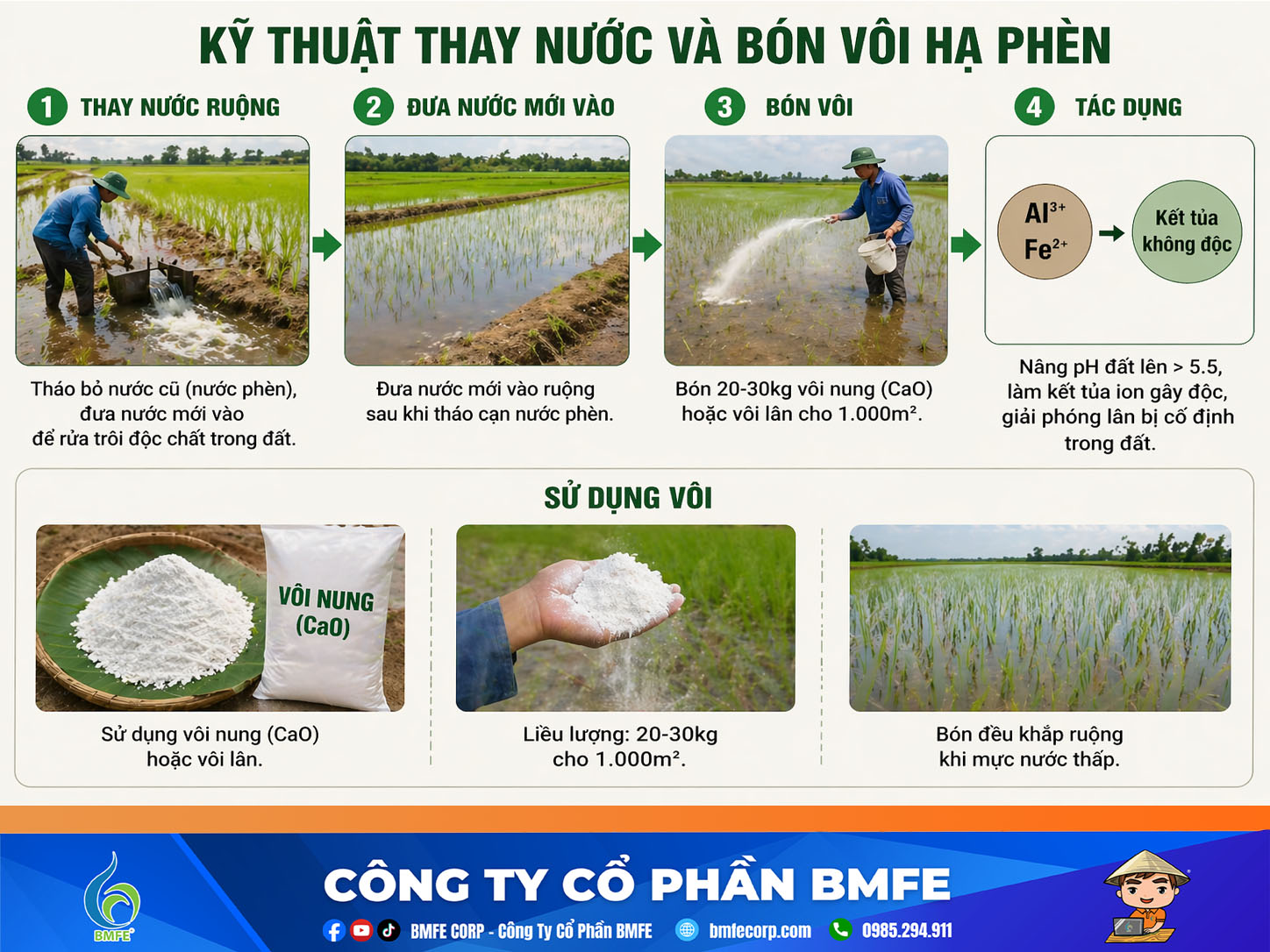 Kỹ thuật thay nước và bón vôi hạ phèn đúng cách