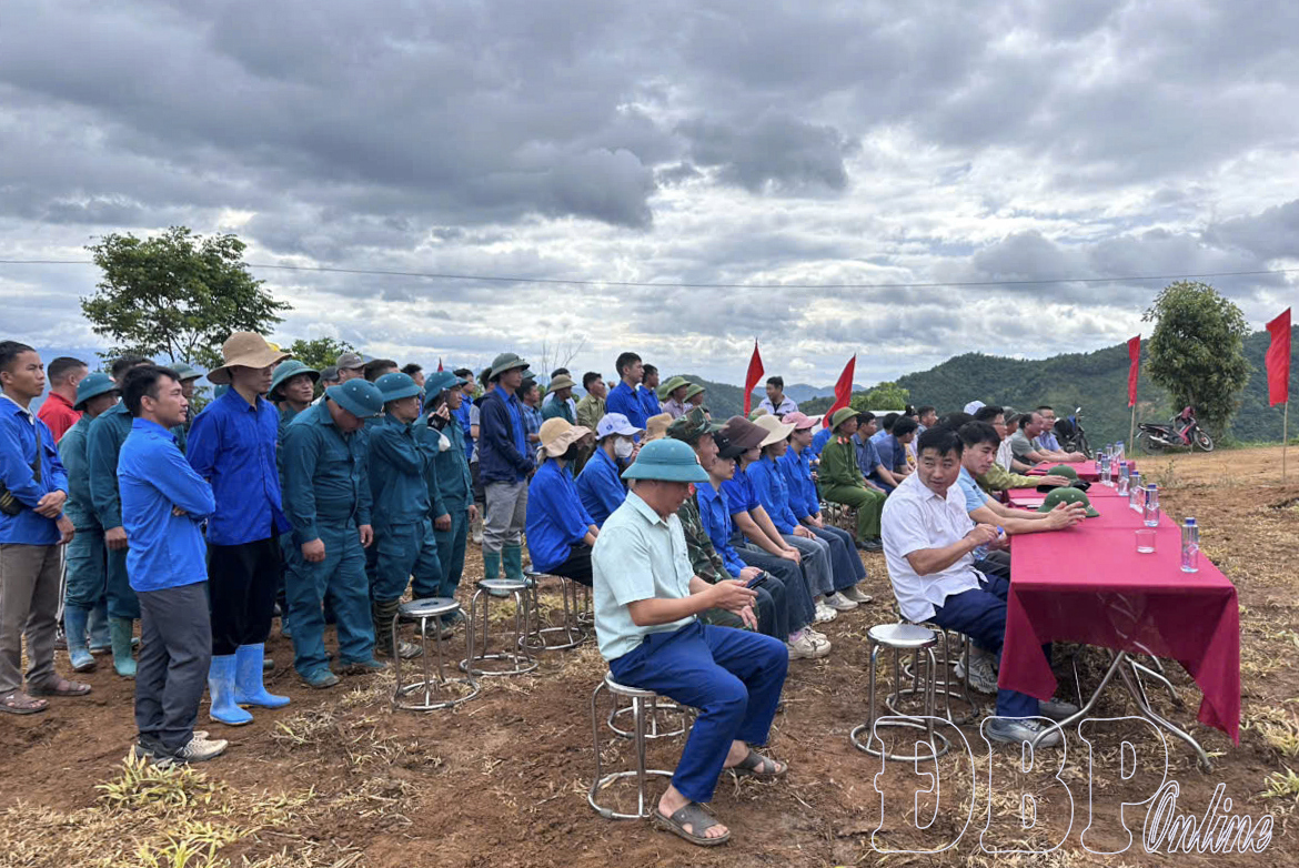 Tìa Dình Phát Động Trồng Cà Phê, Mắc Ca Năm 2026