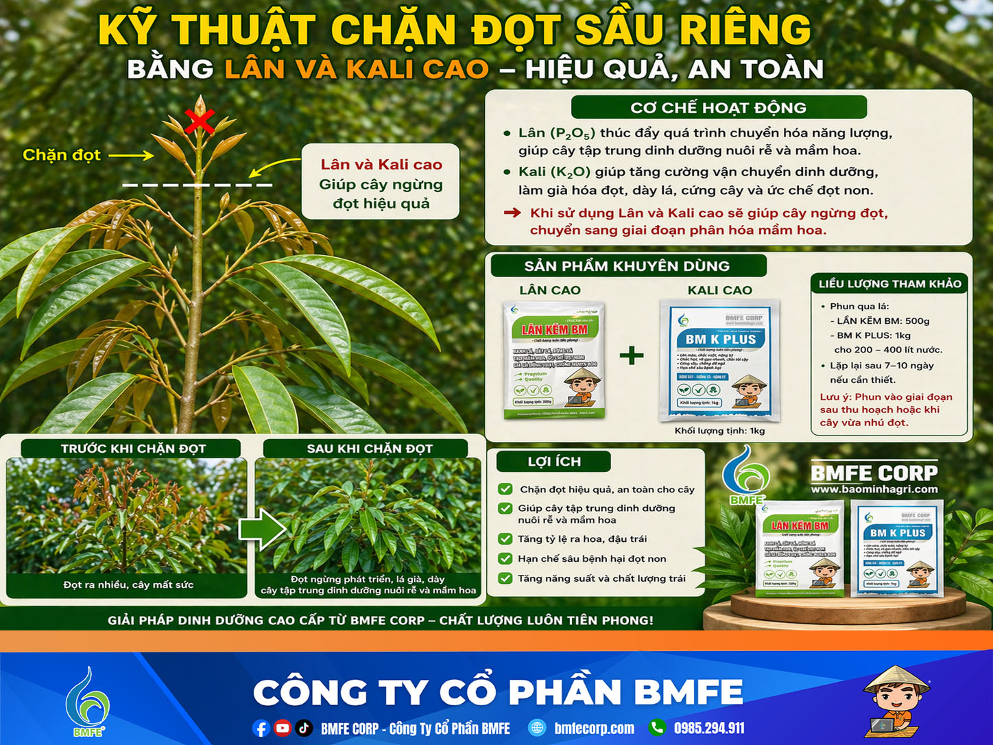 Cách bảo quản lúa sau thu hoạch tránh hư hao mất giá