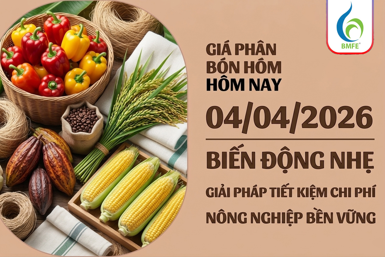 Giá phân bón hôm nay 04/04/2026: Biến động nhẹ và giải pháp tiết kiệm chi phí cùng BMFE CORP