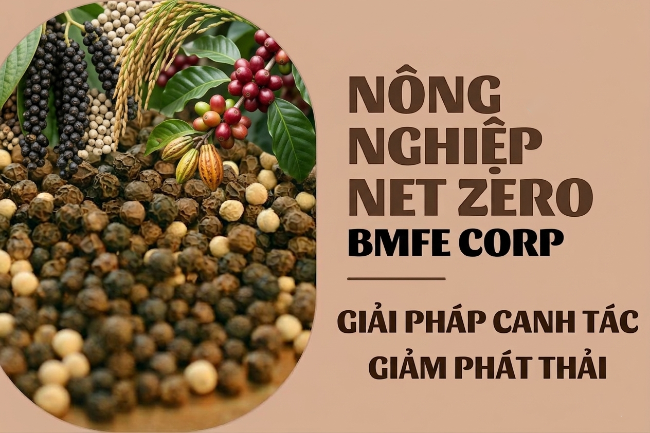 Nông nghiệp Net Zero: Giải pháp canh tác giảm phát thải cùng BMFE CORP