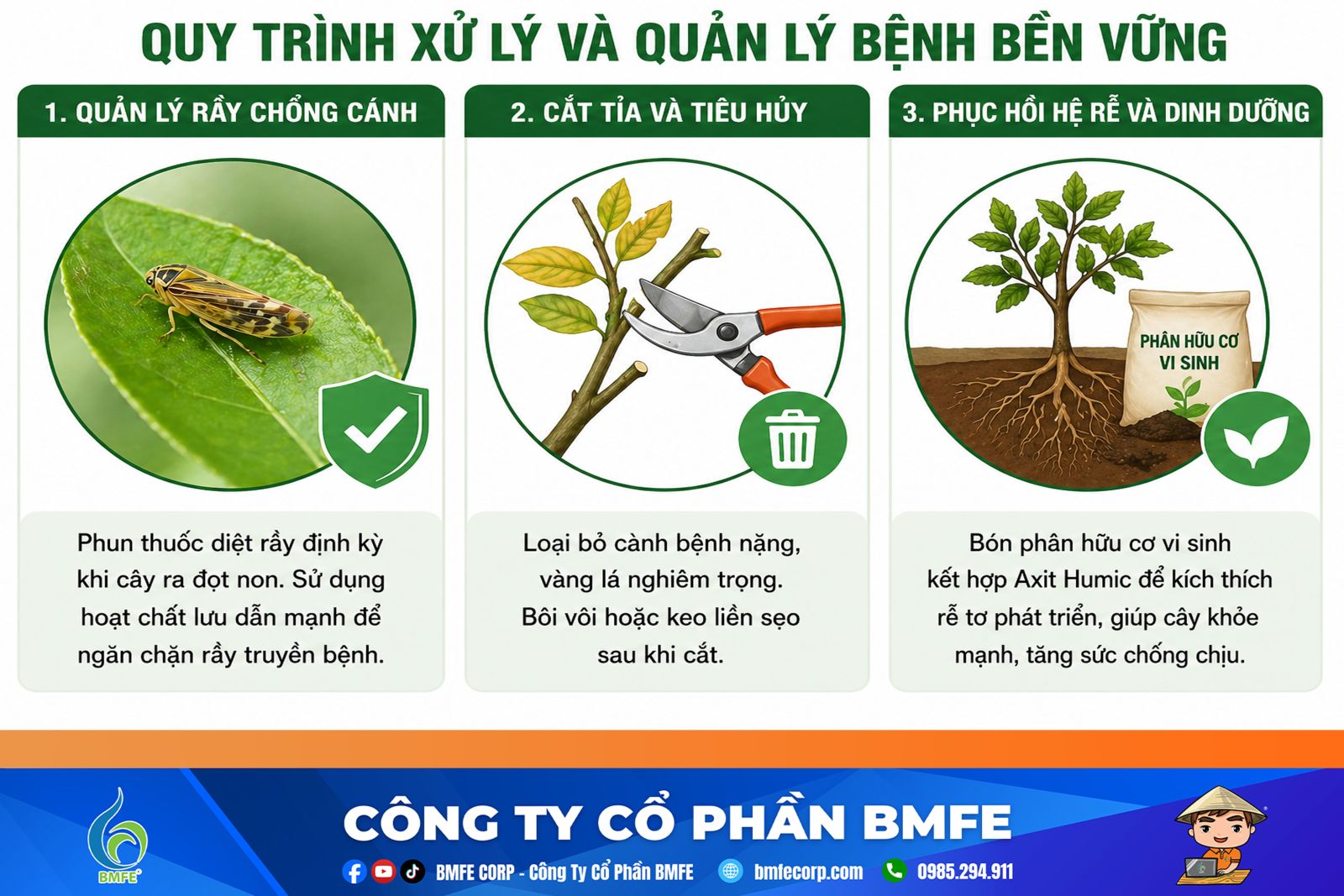 Quy trình xử lý và quản lý bệnh bền vững