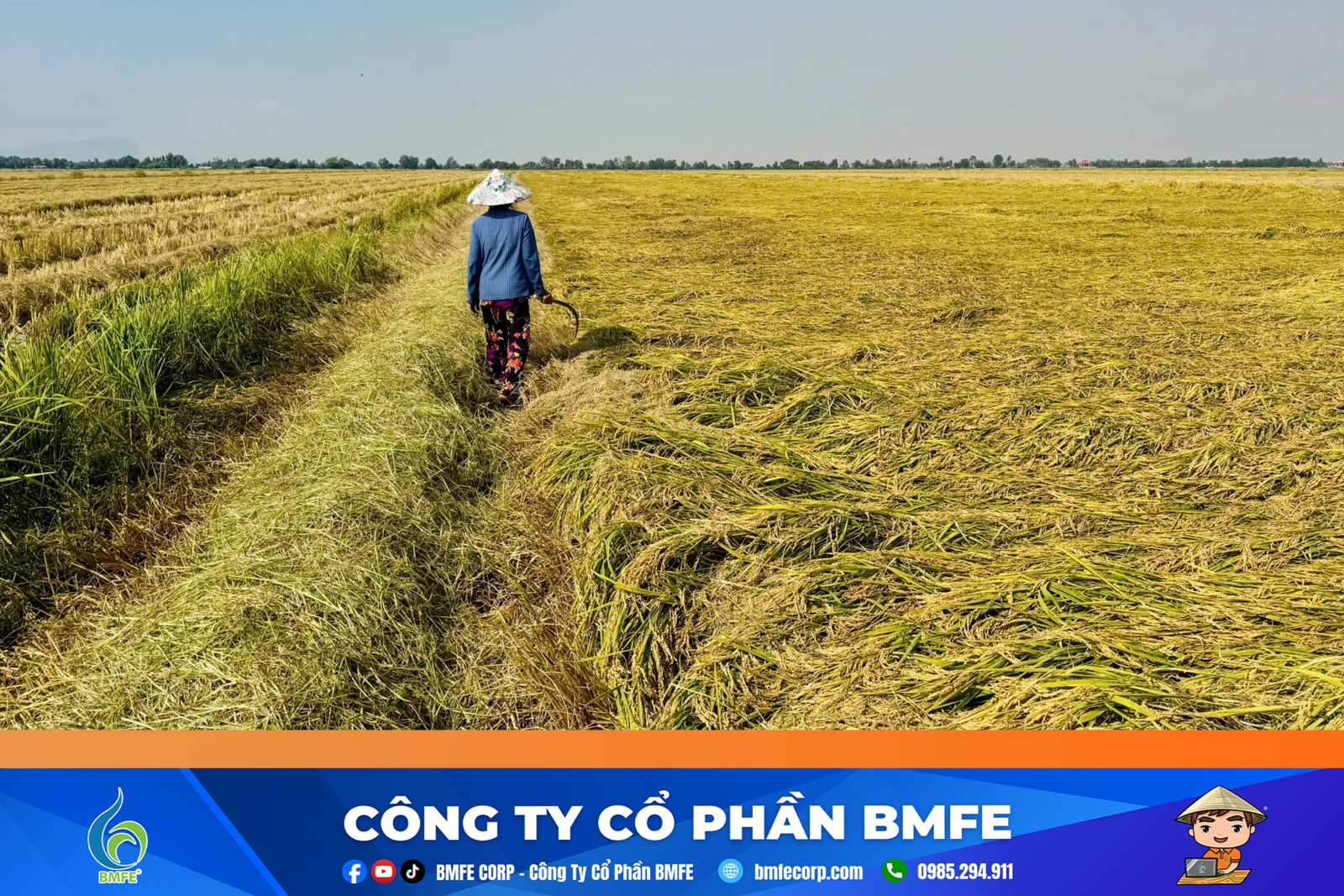 Nghịch lý vựa lúa An Giang: Giá lúa gạo sụt giảm, chi phí vật tư "ăn" hết lợi nhuận