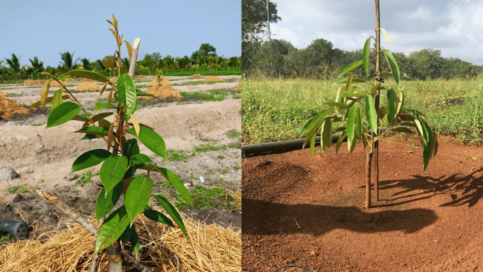 Kiểm tra khí hậu, nhiệt độ