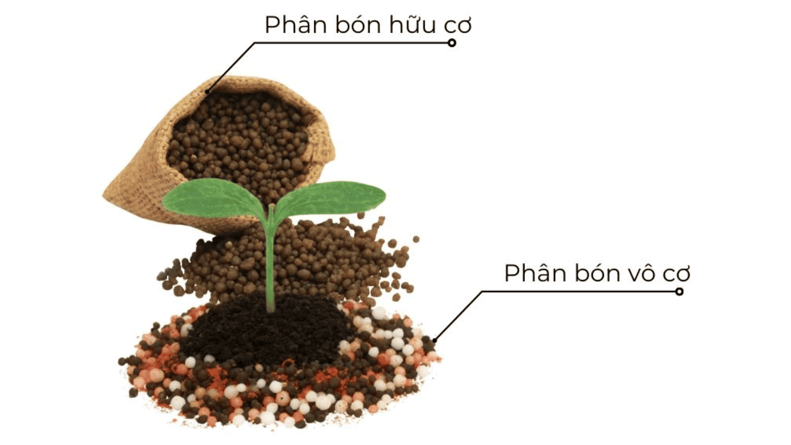 Phân loại phân bón vô cơ