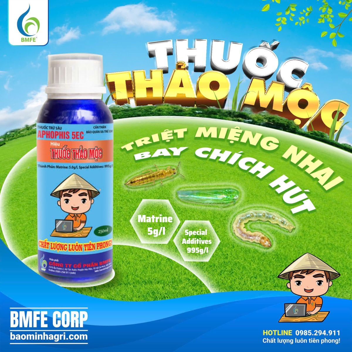 THUỐC THẢO MỘC BMFE