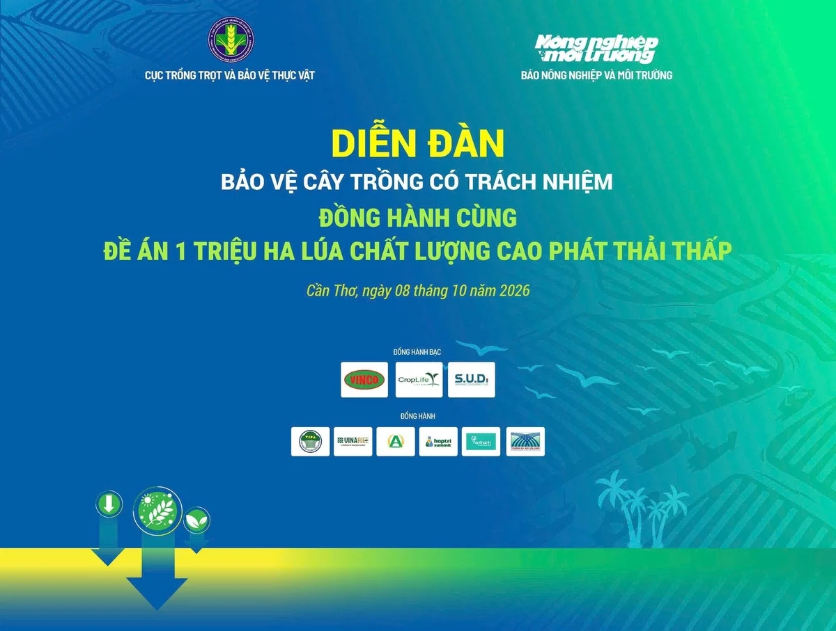 Mô Hình 1 Triệu Ha Lúa Phát Thải Thấp: Tín Chỉ Carbon Cho Nông Dân