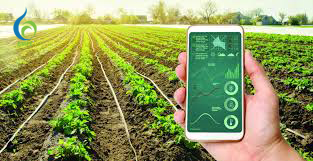 CHUYỂN ĐỔI SỐ NÔNG NGHIỆP 2026: KHI NHÀ NÔNG LÀM CHỦ CÔNG NGHỆ DATA