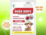 គន្លឹះបំបាត់សត្វល្អិតប្រភេទញៀន – មិនបារម្ភអំពីការធន់ថ្នាំជាមួយ NHEN BMFE