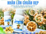 ដំណោះស្រាយសម្រាប់ផ្លែធំ ស្មើ ស្អាត – បង្កើនទិន្នផល និងគុណភាព