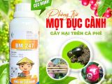 BM 247 – ដំណោះស្រាយប្រកបដោយប្រសិទ្ធភាពសម្រាប់ការការពារ និងបំបាត់ព្រិលជាងសាខាកៅស៊ូ