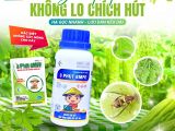 ដំណោះស្រាយបំបាត់សត្វល្អិតចាក់បាញ់ – មិនបាច់ព្រួយចិត្តអំពីមូសផ្លែទៀតទេ