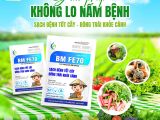 BM FE70 - ដំណោះស្រាយដ៏ទូលំទូលាយក្នុងការបង្ការ និងព្យាបាលជំងឺផ្សិត ជួយឱ្យរុក្ខជាតិមានសុខភាពល្អ និងបង្កើតសាខា និងផ្លែពណ៌បៃតង។