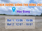 ChatGPT đã nói: នេះជាការបកប្រែជាភាសាខ្មែរសម្រាប់ ប័ណ្ណព័ត៌មានកសិកម្ម – ថ្ងៃទី 27 ខែមិថុនា ឆ្នាំ 2025៖