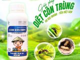 ដំណោះស្រាយបំបាត់សត្វល្អិតប្រកបដោយប្រសិទ្ធភាព – 3 CON KIẾN BMFE