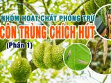 ក្រុមសារធាតុសកម្មសម្រាប់ការកម្ចាត់សត្វល្អិតចឹកសឺម (ផ្នែកទី ១)