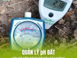 QUẢN LÝ pH ĐẤT: CHÌA KHÓA VÀNG GIÚP SẦU RIÊNG TRÁNH NGỘ ĐỘC RỄ