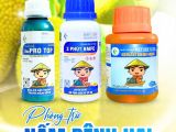 ដំណោះស្រាយគ្រប់មុខក្នុងការការពារ និងព្យាបាលជំងឺសំបូរទឹក – បង្អតខ្យងខ្មៅលើផ្លែមិច