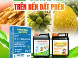 ដំណោះស្រាយសម្រាប់ដីសំណល់អាស៊ីដ ដោយប្រើផលិតផល ៣ ប្រភេទពិសេសពី BMFE