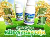 PHAYBUC 250SC – ដំណោះស្រាយការពារផ្ទៃទូលាយសម្រាប់ដំណាំស្រូវ ការពារជាមុន – ផលដំណាំចំរូងអាចទុកចិត្តបាន