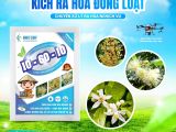 10-60-10 BMFE – ដំណោះស្រាយល្អបំផុតសម្រាប់ដំណាក់កាលបង្ហាញផ្កា