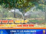 Kỹ Thuật Tưới Nước Mùa Khô Miền Đông: Đúng Và Đủ Cho Cây Trồng