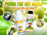 ពពួកសត្វលោតស្លាប – ផលប៉ះពាល់ និងដំណោះស្រាយគ្រប់គ្រងមានប្រសិទ្ធភាពពី BMFE