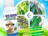 BM STOP – Giải Pháp Đột Phá Giúp Sầu Riêng Ra Hoa Đồng Loạt và Đậu Trái Như Ý