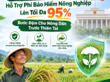 Hỗ Trợ 95% Phí Bảo Hiểm Nông Nghiệp: Tấm Lá Chắn Cho Nông Dân