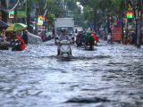 Bão đổ bộ vào TP.HCM
