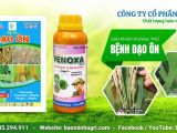 Bệnh Đạo Ôn Hại Lúa: Nguyên Nhân, Cơ Chế Gây Hại Và Cách Phòng Trừ Hiệu Quả