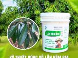 KỸ THUẬT DÙNG XÔ LÂN KẼM BM TRƯỚC KHI XỬ LÝ RA HOA 7–10 NGÀY