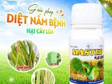MASTER Plus 225SC – ដំណោះស្រាយប្រសិទ្ធិភាពខ្ពស់ក្នុងការបំបាត់ជំងឺសារពាង្សលើស្រូវ
