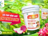 ដំណោះស្រាយជីវចំណីសមតុល្យសម្រាប់ស្រូបចំរូង – BMFE