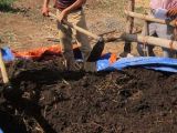 BÓN PHÂN HỮU CƠ VÀ CÂN ĐỐI N-P-K: BÍ QUYẾT GIÚP CÂY TRỒNG KHỎE MẠNH, NĂNG SUẤT CAO