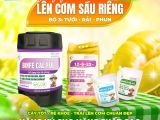ដំណោះស្រាយសម្រាប់ការឡើងសាច់បានស្មើសម្រាប់ដូរៀន – BMFE CORP