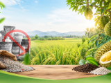Cảnh Báo Phân Bón Giả Vừa Bị Triệt Phá: Bà Con Cần Làm Gi Đề Bảo Vệ Mùa Màng?