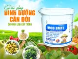 9999 BMFE – ដំណោះស្រាយជីវចំណីគ្រប់មុខសម្រាប់រុក្ខជាតិ