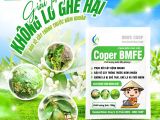 COPER BMFE – ដំណោះស្រាយប្រកបដោយប្រសិទ្ធភាពក្នុងការប្រឆាំង និងព្យាបាលជំងឺស្បោងស្លឹក និងស្បោងផ្លែលើដើមបៀរ