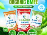 ORGANIC BMFE – ដំណោះស្រាយជាតិជះអាហារធម្មជាតិ ប្រកបដោយសុវត្ថិភាព គ្មានលោហធាតុធ្ងន់