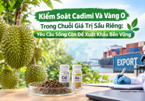Kiểm Soát Cadimi Và Vàng O Trong Sầu Riêng Xuất Khẩu Mới Nhất