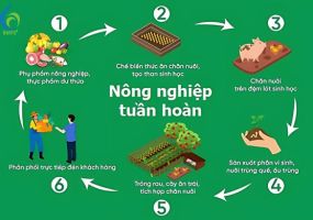 NÔNG NGHIỆP TUẦN HOÀN 2026: LỐI THOÁT THÔNG MINH GIỮA BÃO GIÁ VẬT TƯ