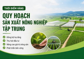 Thời Điểm Vàng Quy Hoạch Sản Xuất Nông Nghiệp