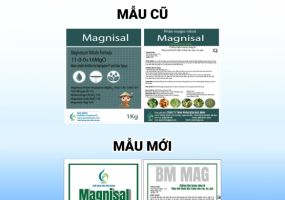 THÔNG BÁO THAY ĐỔI MẪU NHÃN MAGNISAL BMFE