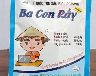 Rầy Mềm Trên Rau Màu – Nguyên Nhân, Tác Hại và Cách Phòng Trừ Hiệu Quả