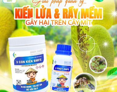 ហេតុអ្វីត្រូវគ្រប់គ្រងស្ទឹងភ្លើងក្នុងសួនចម្ការ?