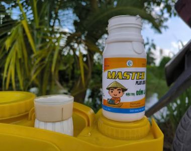 Nguyên nhân và biện pháp phòng trừ bệnh đốm lá trên cây cà phê