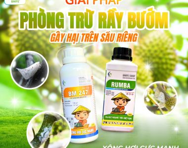 សត្វជាំបutterfly – គ្រោះថ្នាក់លាក់ខ្លួនលើដើមផ្លែឈើ និងដំណោះស្រាយគ្រប់គ្រងយ៉ាងមានប្រសិទ្ធភាពពី BMFE