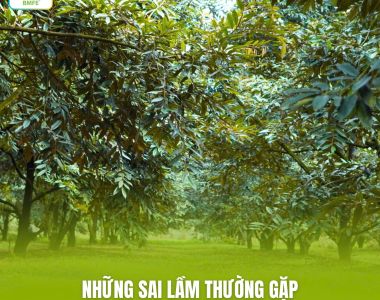 Những Sai Lầm 